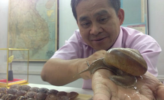 Where Do You Buy Your Snail Slime? A Push to Shop Locally | Siam Snail