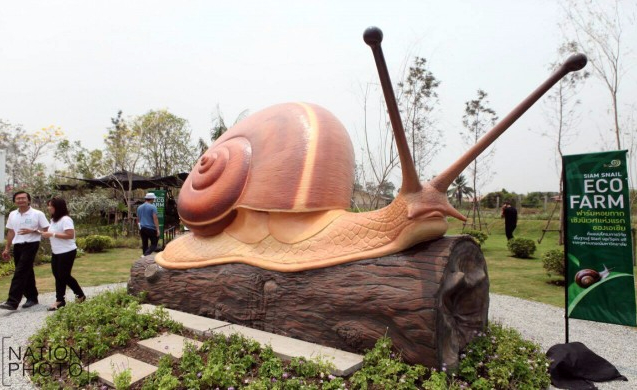 จุฬาฯ เปิดตัว 'ฟาร์มหอยทากเชิงนิเวศแห่งแรกของเอเชีย' | Siam Snail