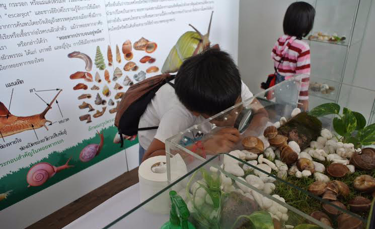 จุฬาฯ เปิดตัวฟาร์มหอยทากเชิงนิเวศแห่งแรกของเอเชีย | Siam Snail
